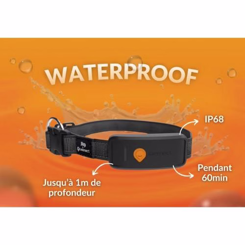 Collier GPS pour chien Weenect XT
