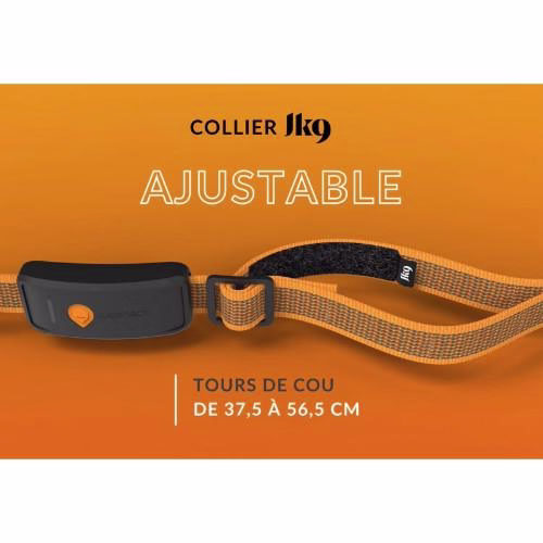Collier GPS pour chien Weenect XT
