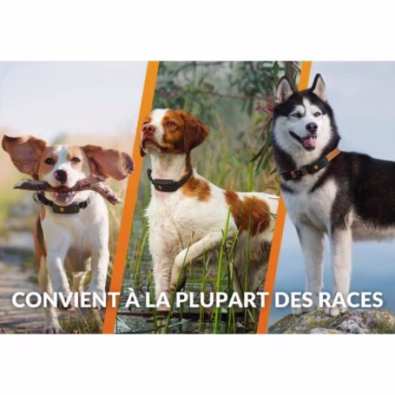 Collier GPS pour chien Weenect XT