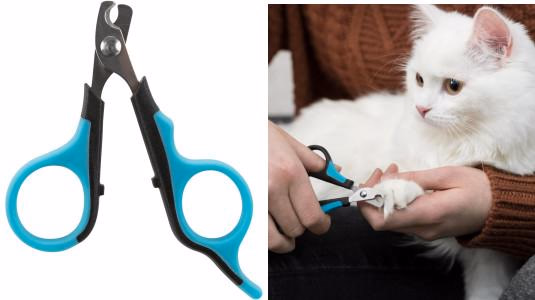 Coupe-Ongles Ciseaux pour Chat : Parfait pour Chats Adultes avec Griffes Épaisses