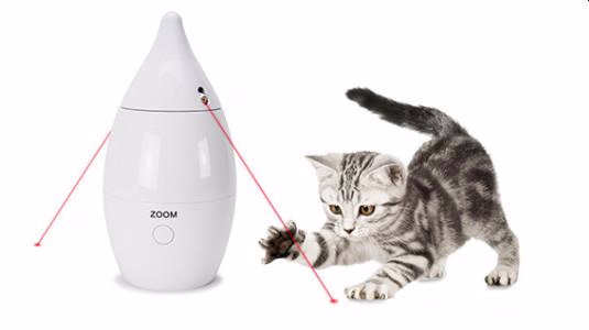 Le laser pour chat est-il sûr ?