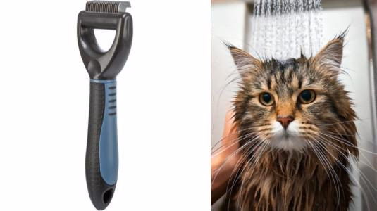 Comment enlever un nœuds sur un chat ?