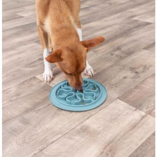 Gamelle anti-glouton chat et chien Slow Feed
