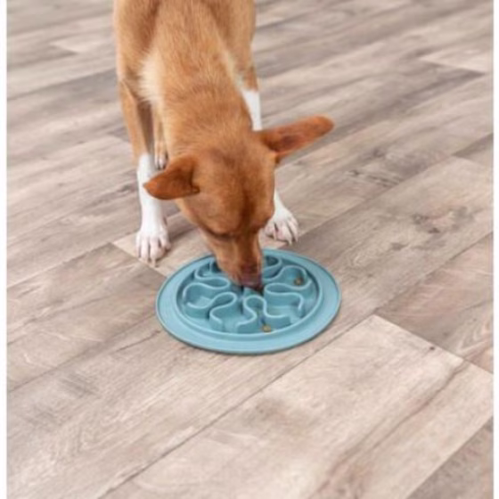 Gamelle anti-glouton chat et chien Slow Feed
