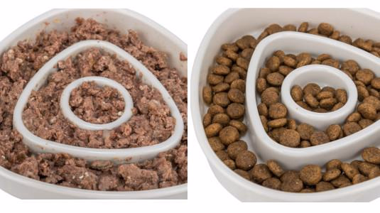 Quelle gamelle pour un chat qui mange trop vite ?