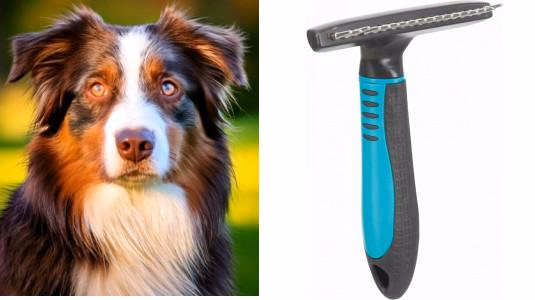 Quelle étrille pour un chien à poils longs ?