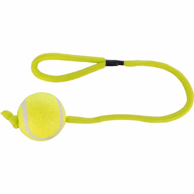 Lanceur de balle sport pour chien