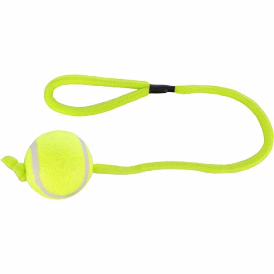 Lanceur de balle sport pour chien