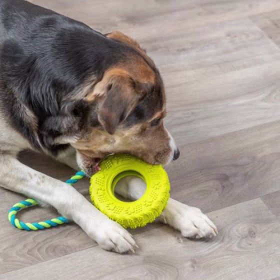 Jouet pneu avec corde pour chien destructeur