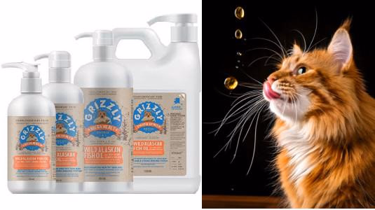 Quelle est la meilleure huile de saumon pour un chat ?