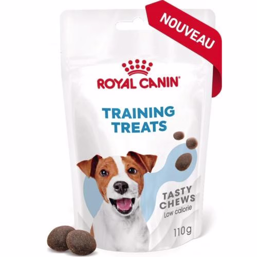 Friandises éducation chien training treats