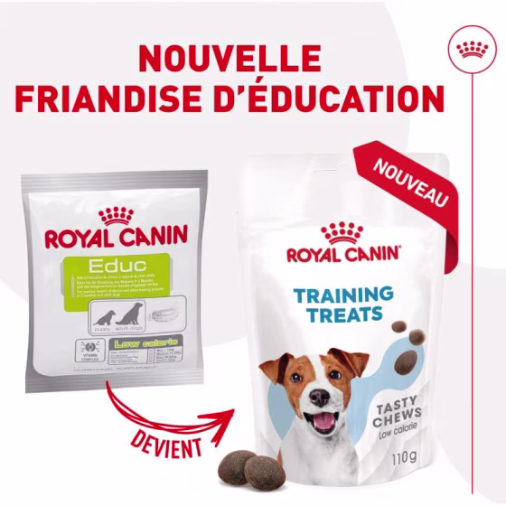 Friandises éducation chien training treats