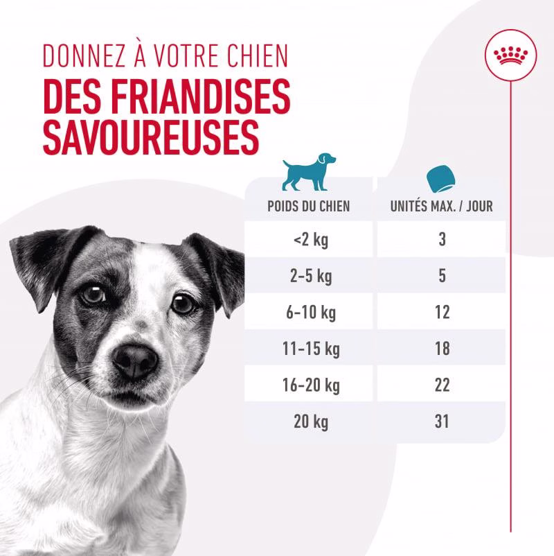 Friandises éducation chien training treats