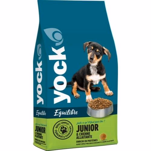 Croquettes Junior YOCK EQUILIBRE