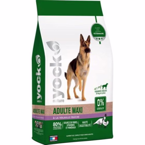 Croquettes sans céréales, Chien adulte grande race  12 kg YOCK NATURE