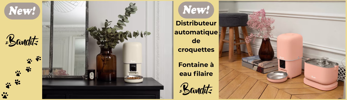 Promotion en cours animalerie en ligne Auberdog