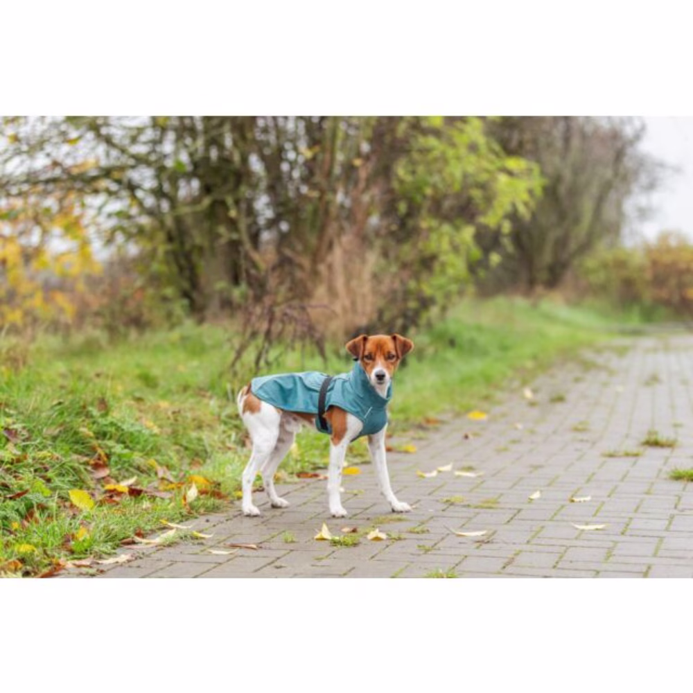 Manteau Imperméable pour chien Vimy Bleu canard